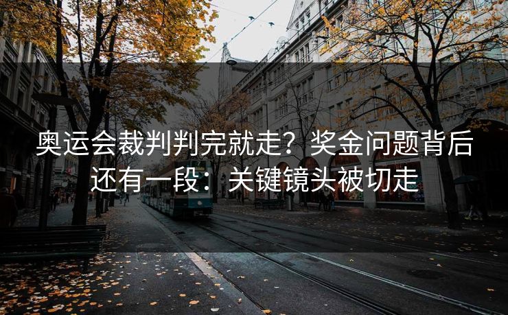 奥运会裁判判完就走？奖金问题背后还有一段：关键镜头被切走