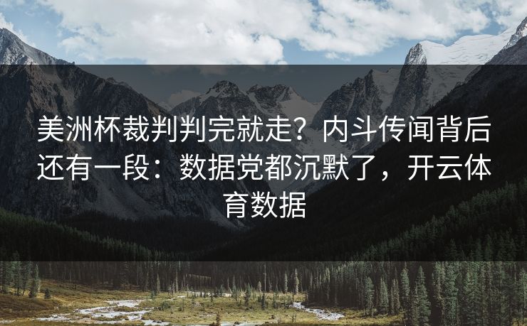 美洲杯裁判判完就走？内斗传闻背后还有一段：数据党都沉默了，开云体育数据